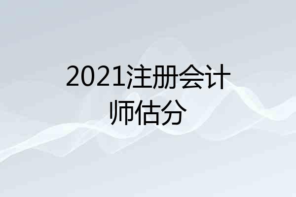 2021注册会计师估分