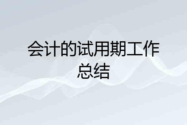 会计的试用期工作总结