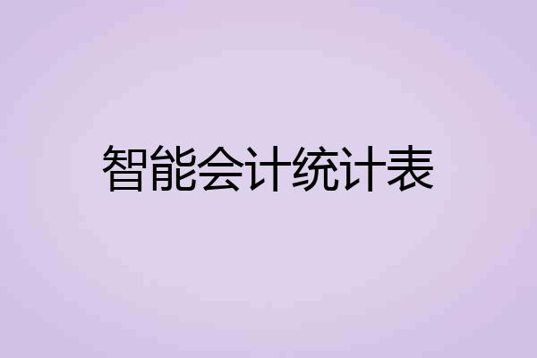 智能会计统计表