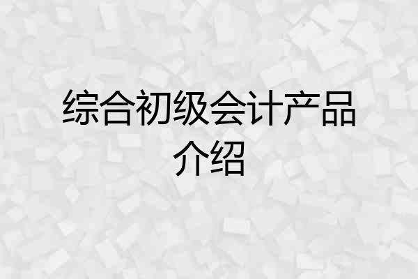综合初级会计产品介绍