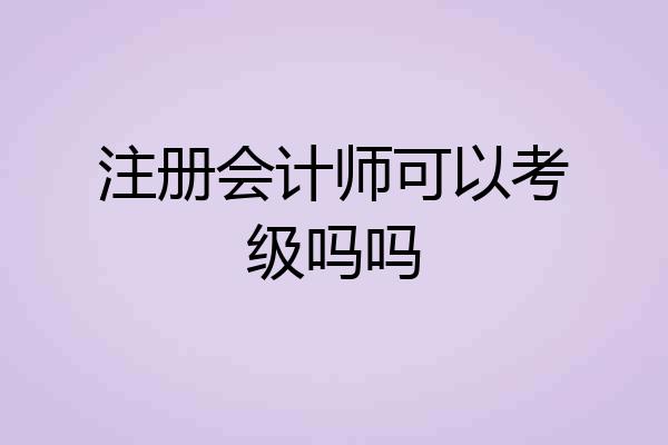注册会计师可以考级吗吗
