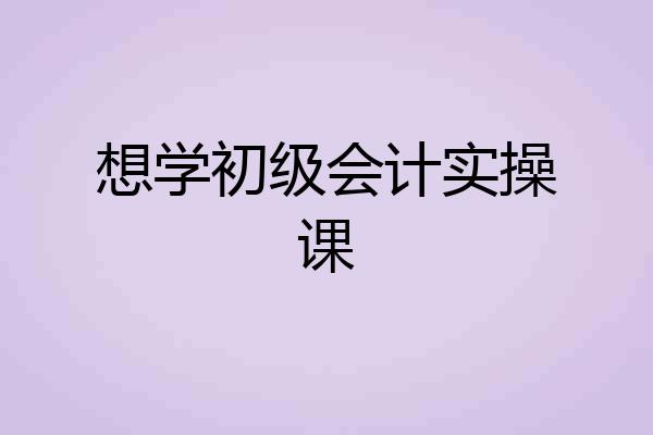 想学初级会计实操课