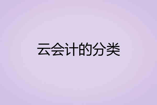 云会计的分类