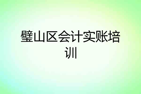 璧山区会计实账培训