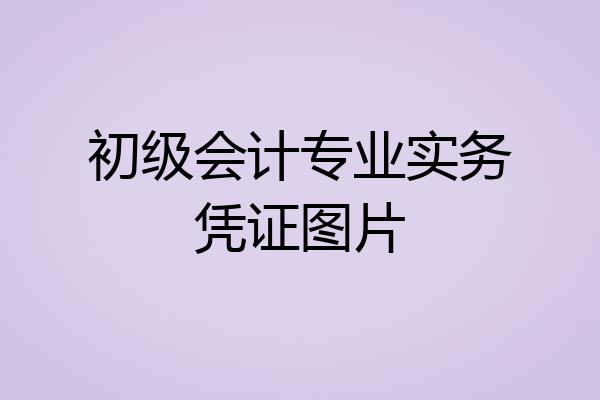 初级会计专业实务凭证图片