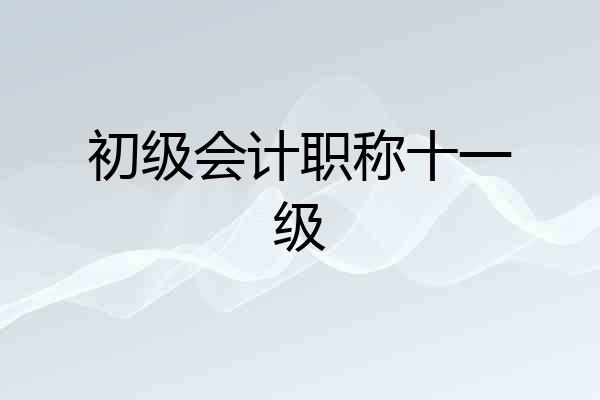 初级会计职称十一级