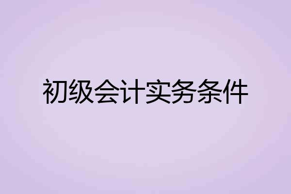 初级会计实务条件