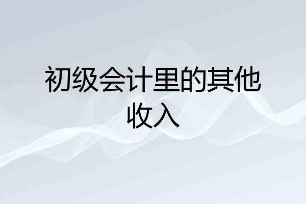 初级会计里的其他收入