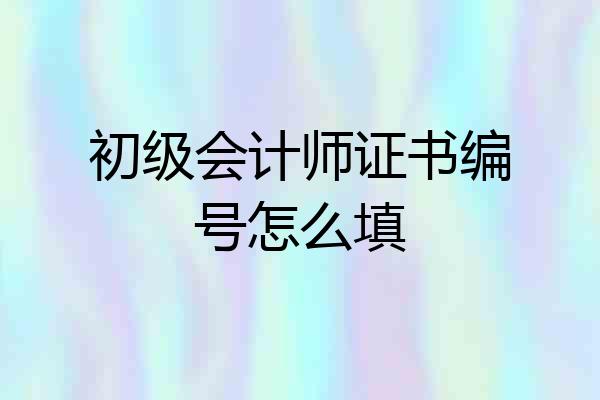 初级会计师证书编号怎么填