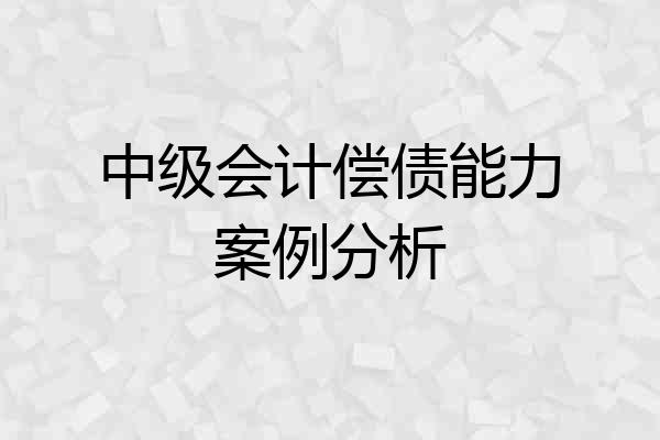 中级会计偿债能力案例分析