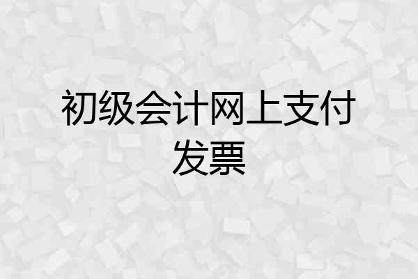 初级会计网上支付发票