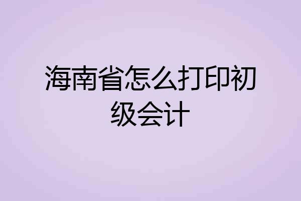 海南省怎么打印初级会计