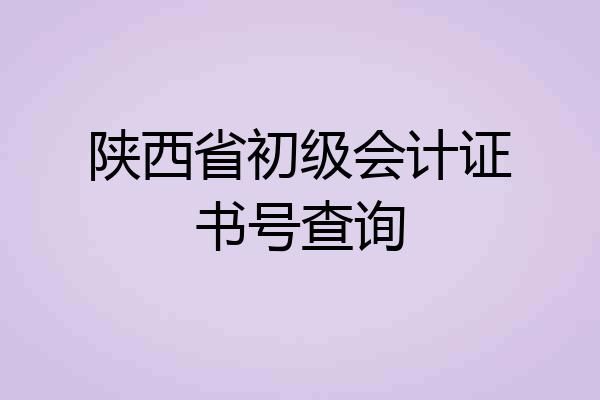 陕西省初级会计证书号查询