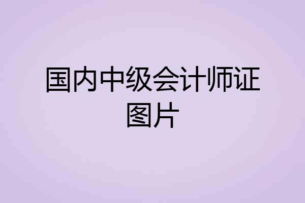 国内中级会计师证图片