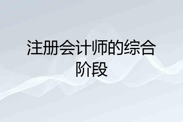 注册会计师的综合阶段