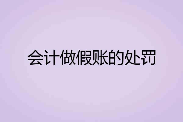 会计做假账的处罚