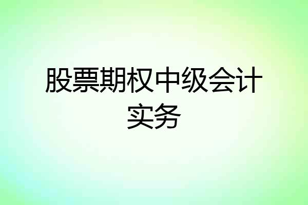 股票期权中级会计实务