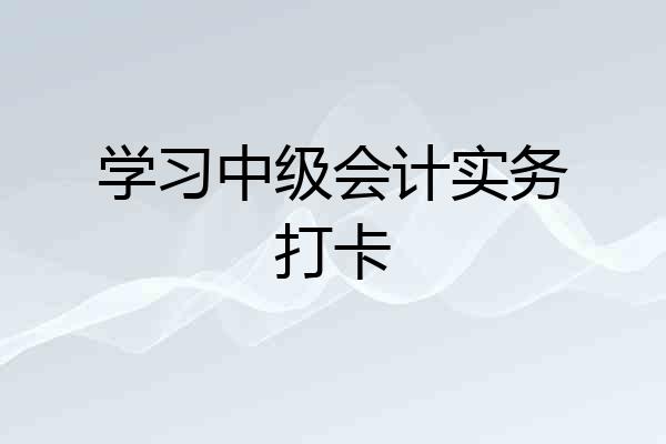 学习中级会计实务打卡