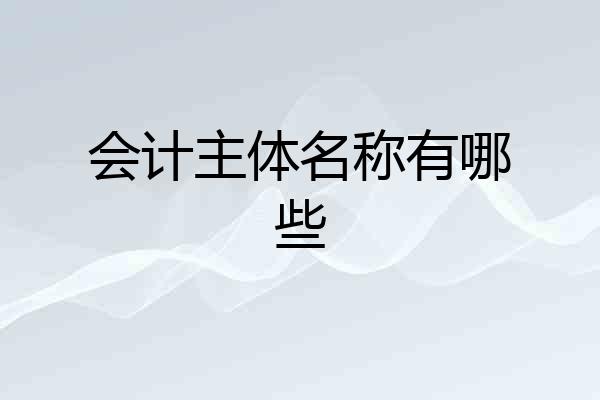 会计主体名称有哪些