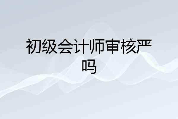初级会计师审核严吗