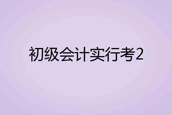 初级会计实行考2