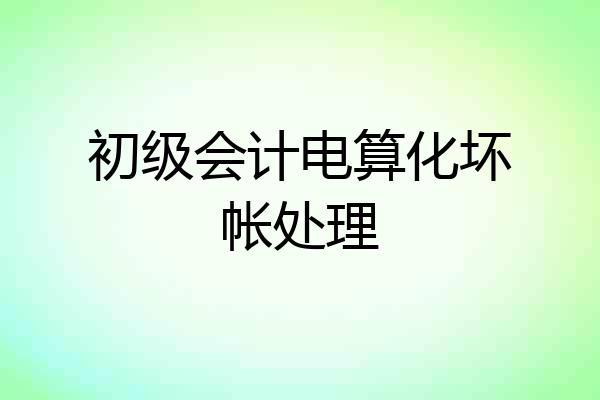 初级会计电算化坏帐处理
