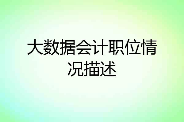 大数据会计职位情况描述