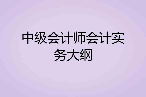 中级会计师会计实务大纲