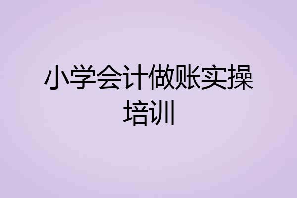 小学会计做账实操培训
