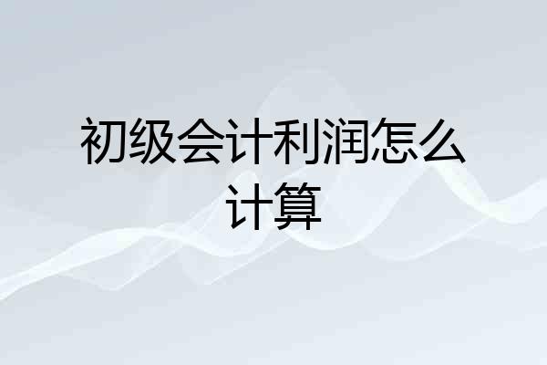 初级会计利润怎么计算