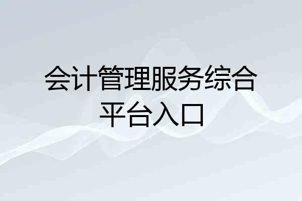 会计管理服务综合平台入口