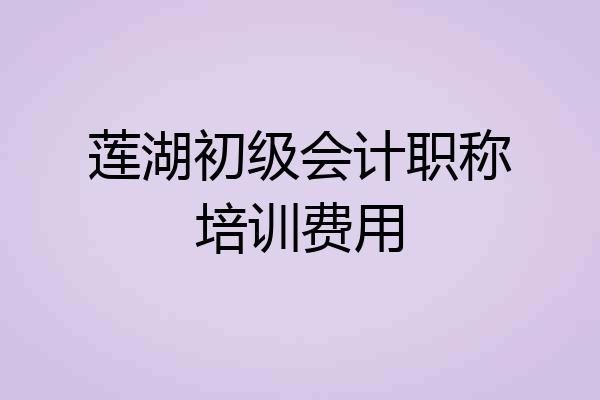莲湖初级会计职称培训费用
