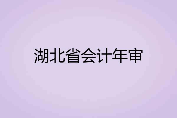 湖北省会计年审