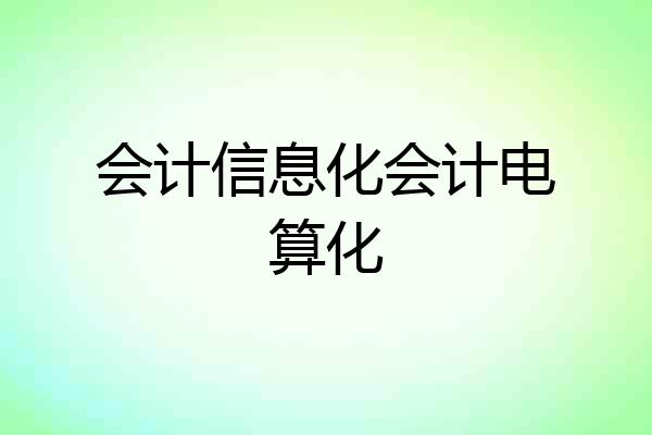 会计信息化会计电算化