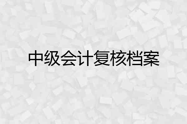 中级会计复核档案