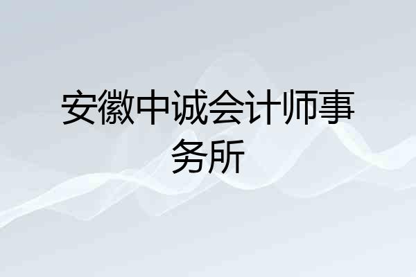 安徽中诚会计师事务所
