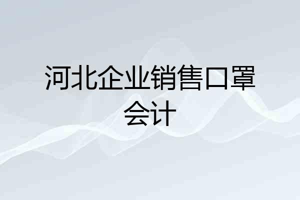 河北企业销售口罩会计