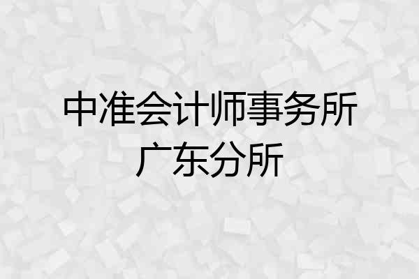 中准会计师事务所广东分所
