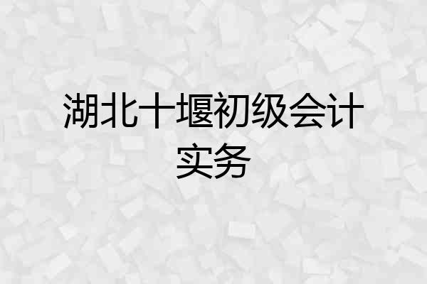 湖北十堰初级会计实务