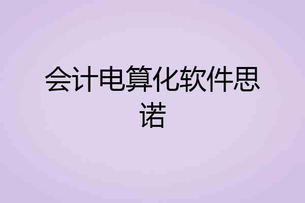 会计电算化软件思诺