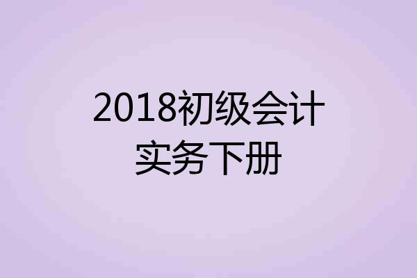 2018初级会计实务下册