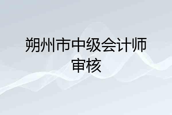朔州市中级会计师审核