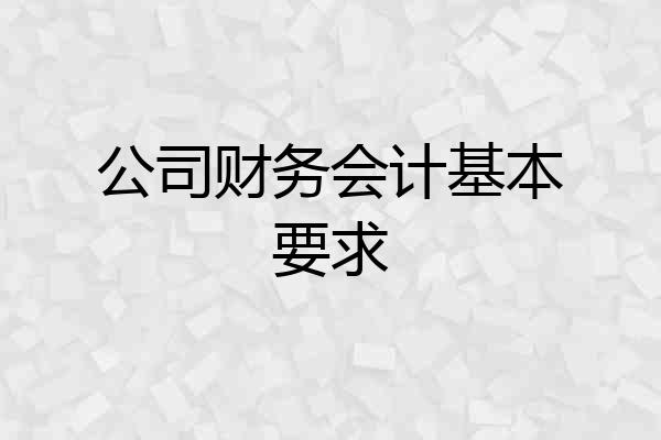 公司财务会计基本要求