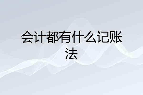 会计都有什么记账法