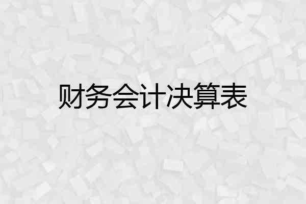 财务会计决算表
