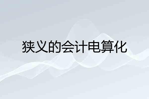 狭义的会计电算化