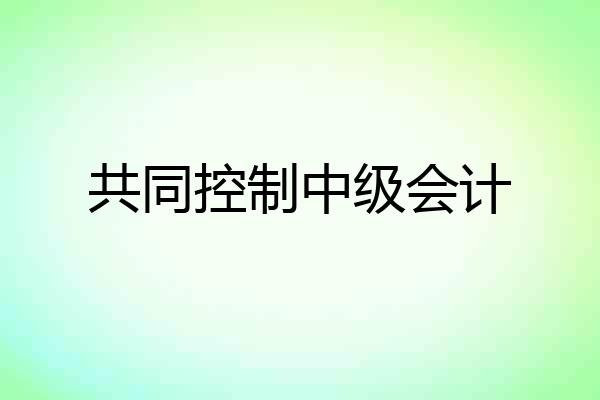 共同控制中级会计