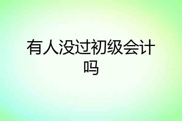 有人没过初级会计吗