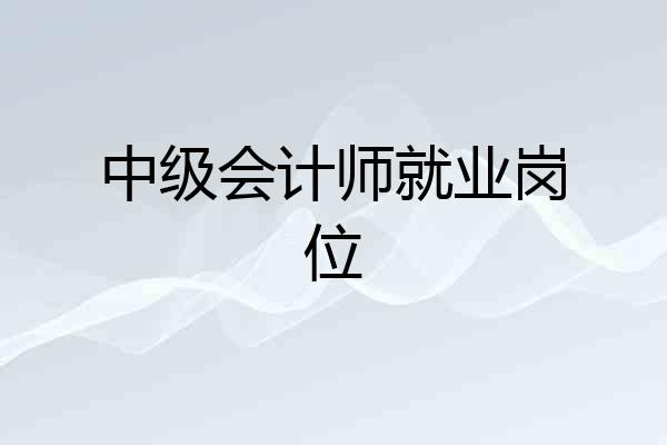 中级会计师就业岗位