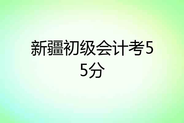 新疆初级会计考55分